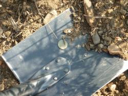 post-5029-0-94605100-1345869532_thumb.jp