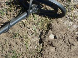 post-5029-0-99754600-1345870382_thumb.jp