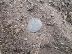 post-6086-0-85928800-1344223306_thumb.jp