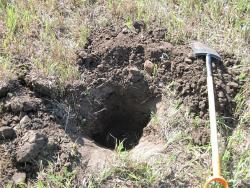 post-6245-0-07495200-1345476008_thumb.jp