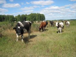 post-6245-0-17601400-1345475834_thumb.jp