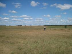 post-6245-0-97455800-1345475923_thumb.jp