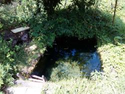 post-6726-0-83124800-1345201044_thumb.jp