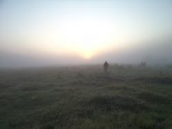 post-7121-0-70236700-1345308147_thumb.jp