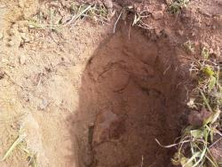 post-7485-0-56658700-1344533041_thumb.jp