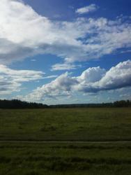 post-7485-0-56840900-1344533096_thumb.jp