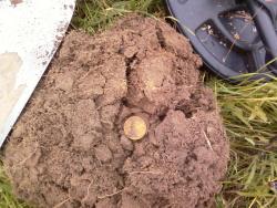 post-7485-0-98275700-1344533329_thumb.jp