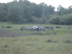 post-7597-0-64260800-1345477128_thumb.jp