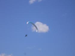 post-9966-0-33912000-1345296605_thumb.jp