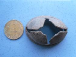 post-9966-0-49498700-1346423427_thumb.jp