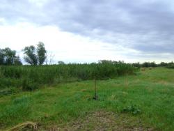 post-12486-0-85762600-1376493039_thumb.j