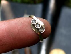 post-13075-0-06966600-1376493258_thumb.j