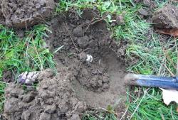 post-13262-0-27291800-1377313147_thumb.j