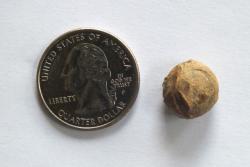 post-13262-0-46312400-1377743893_thumb.j