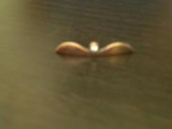 post-15466-0-22619200-1375717261_thumb.j