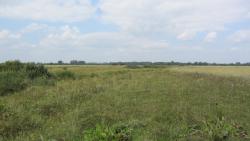 post-16248-0-13863100-1377540790_thumb.j