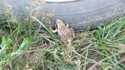 post-16248-0-31024300-1377521946_thumb.j