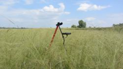 post-16248-0-41821700-1377539208_thumb.j