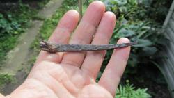 post-16248-0-45051800-1377599024_thumb.j