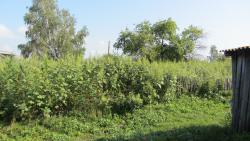 post-16248-0-46408600-1377495091_thumb.j