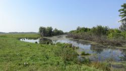 post-16248-0-54066900-1377584403_thumb.j