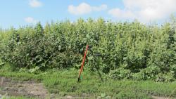 post-16248-0-57356000-1377497290_thumb.j