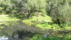 post-16248-0-60028800-1377540568_thumb.j