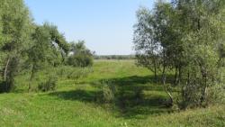 post-16248-0-67485100-1377584411_thumb.j