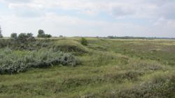 post-16248-0-87312500-1377540923_thumb.j