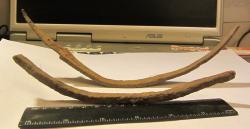 post-16248-0-92586600-1377483460_thumb.j