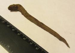 post-16248-0-95465400-1377456336_thumb.j