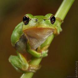 post-24709-0-14022800-1376895175_thumb.j