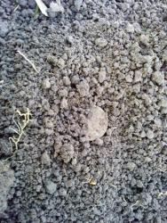 post-26309-0-21465000-1377367835_thumb.j