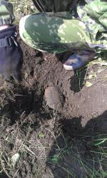 post-26894-0-97562200-1377327281_thumb.j