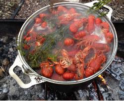 post-2817-0-41914300-1377057488_thumb.jp