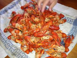 post-2817-0-91833700-1377080415_thumb.jp