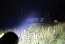 post-28537-0-53186300-1377236493_thumb.j