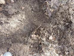 post-4114-0-07393400-1376560939_thumb.jp