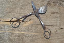 post-6205-0-48928100-1377682534_thumb.jp