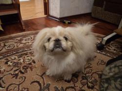 post-7121-0-55085600-1377103932_thumb.jp