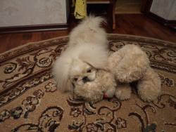 post-7121-0-91580600-1377103968_thumb.jp