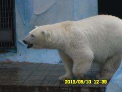 post-9966-0-07211100-1376370905_thumb.jp