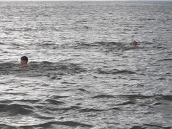 post-9966-0-18297000-1376373591_thumb.jp