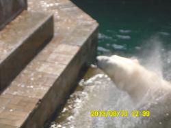 post-9966-0-22714000-1376371014_thumb.jp