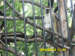 post-9966-0-30516400-1376369211_thumb.jp