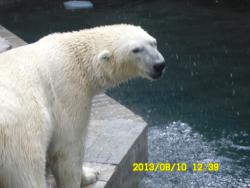 post-9966-0-33459500-1376370776_thumb.jp