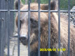 post-9966-0-41667400-1376369298_thumb.jp