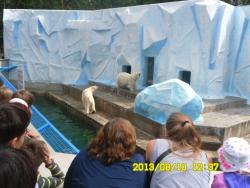 post-9966-0-43065300-1376370714_thumb.jp