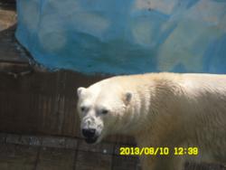 post-9966-0-53365900-1376370972_thumb.jp