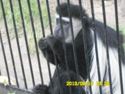 post-9966-0-58795500-1376371488_thumb.jp